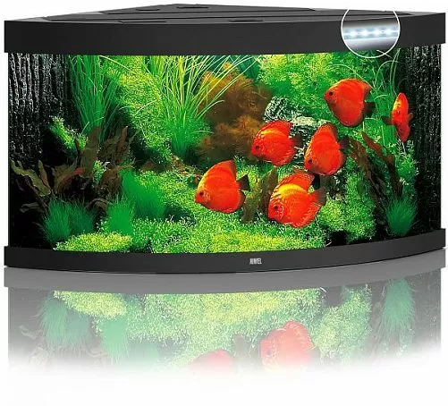 Аквариум JUWEL TRIGON 350 LED угловой с оборудованием, 350л, черный, 123х87х65см