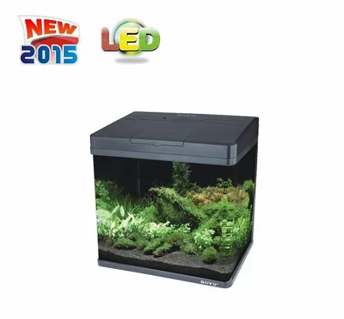 Аквариум BOYU с LED светильником и фильтром, 20 л, 320x210x400 мм Аквариум BOYU с LED светильником и фильтром, 20 л, 320x210x400 мм