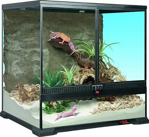 Террариум Sera Reptil Terra Biotop 60, 60х60х45 см
