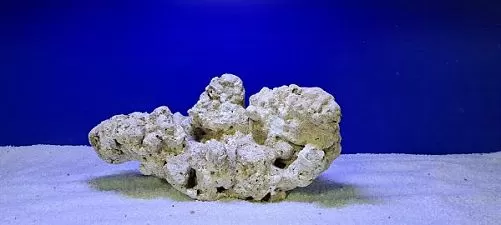 Камень сухой рифовый, крупные от 4000 г, цена за 1 кг