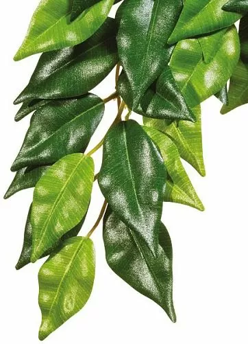 Тропическое растение Exo Terra Jungle Plants Фикус пластиковое, среднее 55х25см