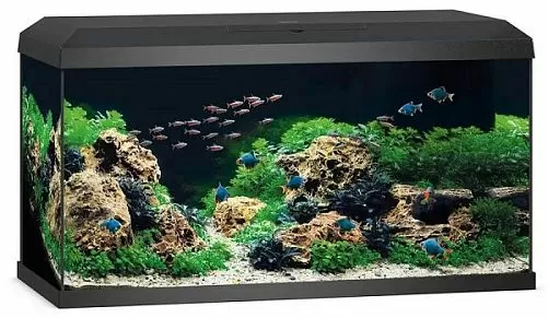 Аквариум JUWEL Примо 110 LED 2.0 прямоугольный с оборудованием, черный, 110л, 810х360х435мм