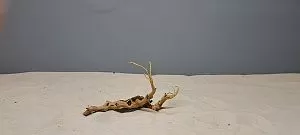 Коряга Сакура мини, до&nbsp;10&nbsp;см