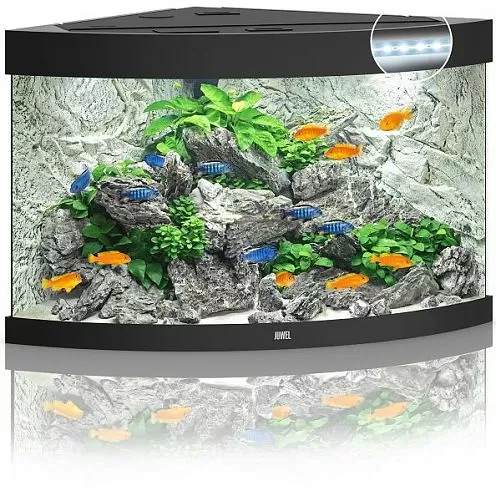 Аквариум JUWEL TRIGON 190 LED угловой с оборудованием, 190л, черный, 98,5х70х60см