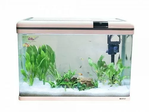 Аквариум BOYU с LED светильником и фильтром, 128 л, 800х364х570 мм Аквариум BOYU с LED светильником и фильтром, 128 л, 800х364х570 мм