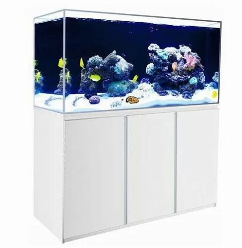 Аквариум морской BOYU с подставкой и оборудованием, без светильника, 380 л, 1500х500х530 мм Аквариум морской BOYU с подставкой и оборудованием, без светильника, 380 л, 1500х500х530 мм