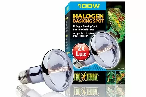 Лампа дневного света Exo Terra Halogen Basking Spot широкого спектра, 100 Вт Лампа дневного света Exo Terra Halogen Basking Spot широкого спектра, 100 Вт