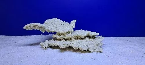 Камень Рифовый Белый, 32х18х12 см
