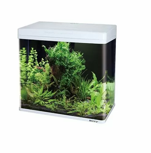 Аквариум BOYU с LED светильником и фильтром, 20 л, 320x210x400 мм, белый Аквариум BOYU с LED светильником и фильтром, 20 л, 320x210x400 мм, белый
