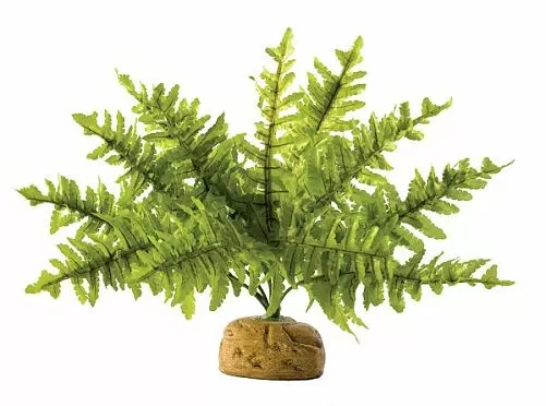 Искусственное растение Exo Terra Boston Fern, Бостонский папортник малый
