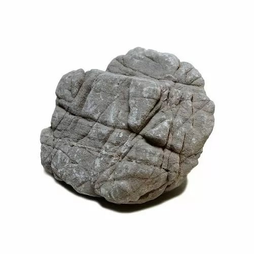 Камень GLOXY «Слоновья кожа» вес камня 200-500 г, 5-10 см цена за 1 шт