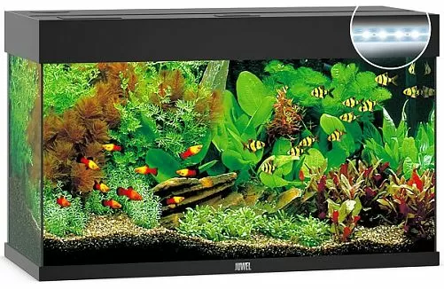 Аквариум JUWEL Rio 125 LED прямоугольный с оборудованием , 125 л, черный, 810*360*500мм