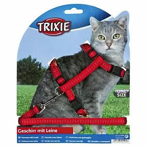 Шлейка TRIXIE «Черепа и кости» с поводком для кошки, нейлон