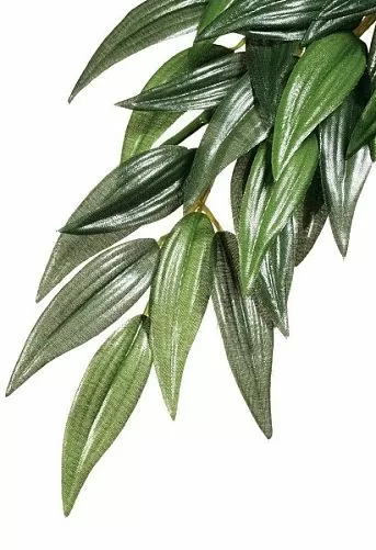 Тропическое растение Exo Terra Jungle Plants Рускус, среднее, пластиковое, 55х25 см