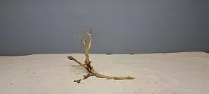 Коряга Сакура мини, до&nbsp;10&nbsp;см