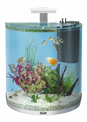 Аквариум дуговой Tetra AquaArt Explorer Line LED Tropical белый, 60 л