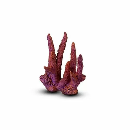 Коралл Коралловый пальчик Темно-фиолетовый 13,5х14х11,5 см